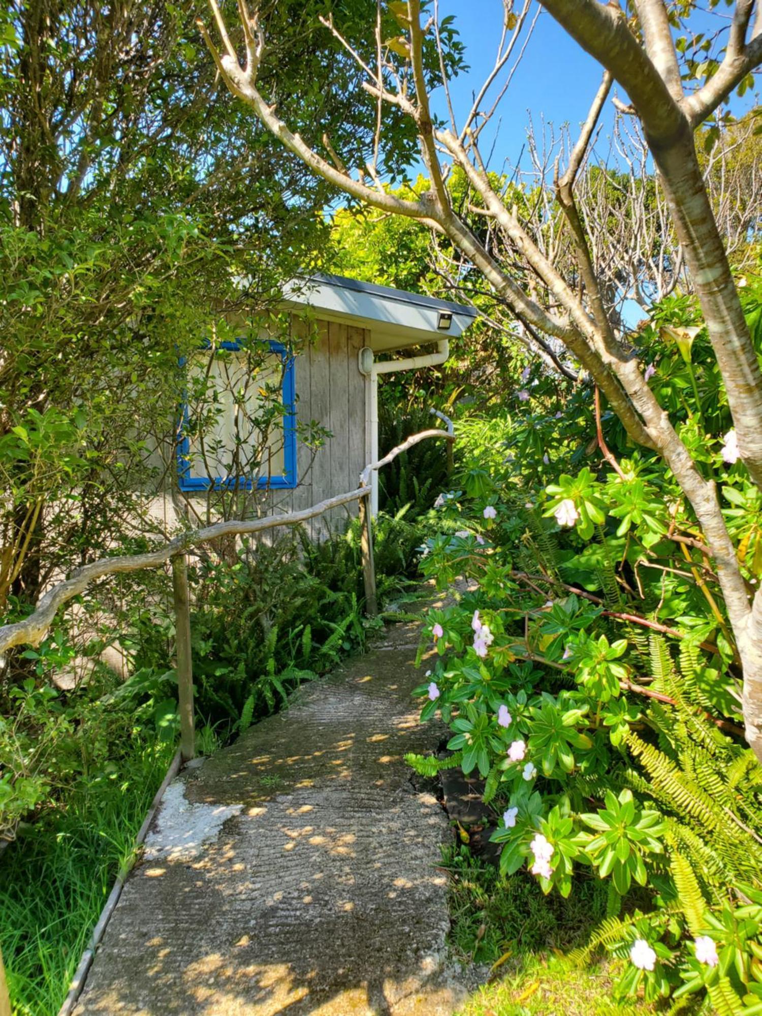 Rawhiti Cottage At Kaeppeli'S Kuaotunu Exterior foto